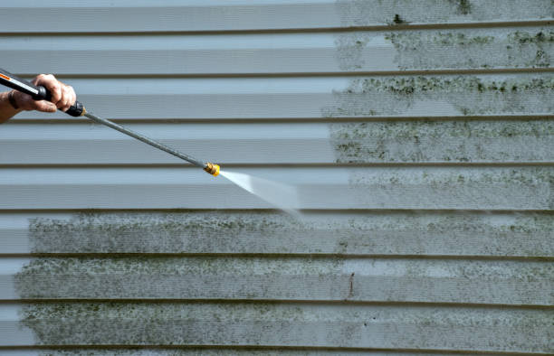 Deck Cleaning Services in Mccordsville, IN